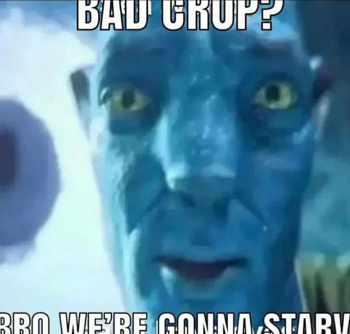 22829503-rsu3ffre-v4.webp 22829503-rsu3ffre-v4.webp