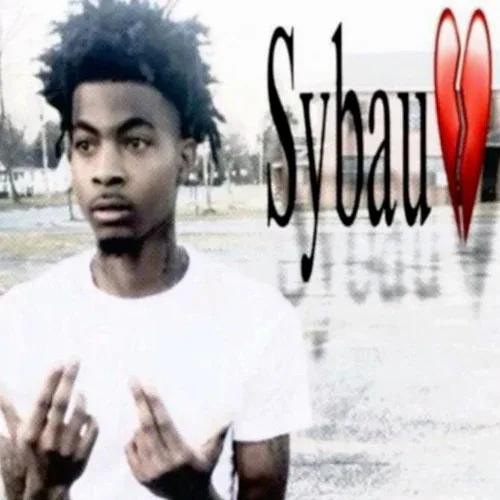 sybauguy.webp sybauguy.webp