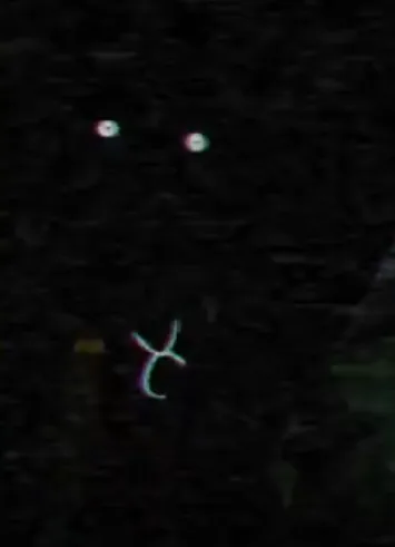 whatareyoudoinghere_2.png