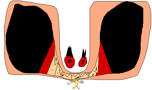 fef_profile.png