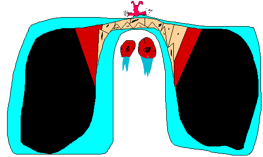 rer_profile.png