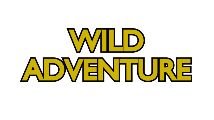 wild_adventure_logotype.png