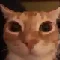 glungus.png