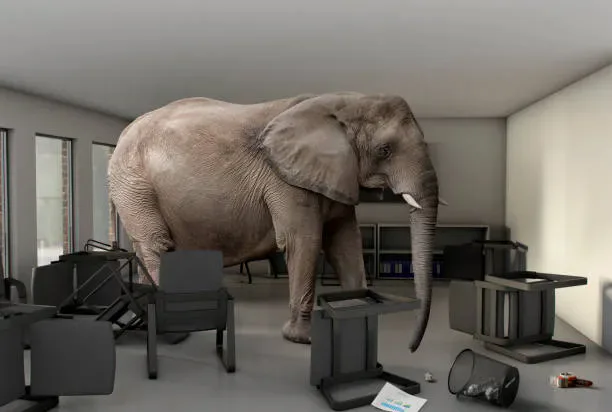 elephant-in-the-room.webp