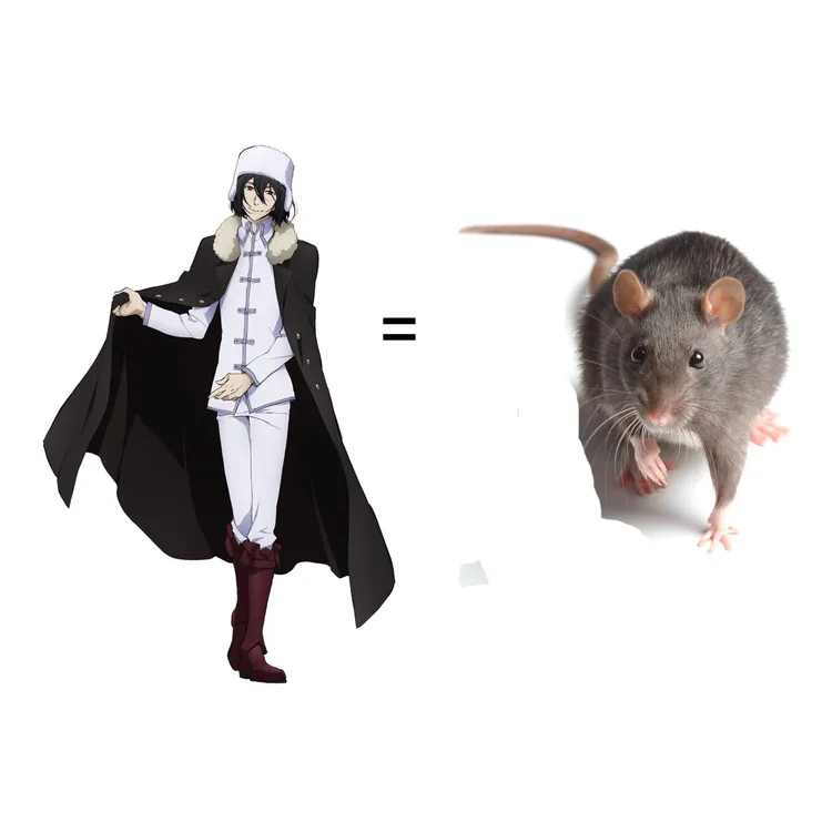 rat.jpg