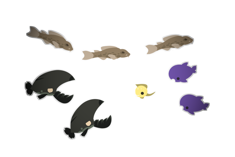 feshes.png