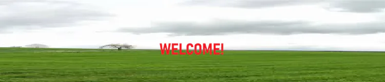 welcome-icon.png