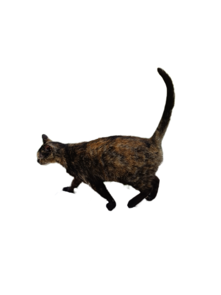 5201.png 5201.png