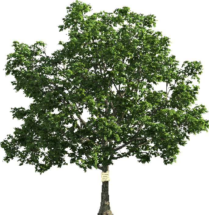 note_tree.png note_tree.png