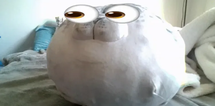 1000025529.png 1000025529.png
