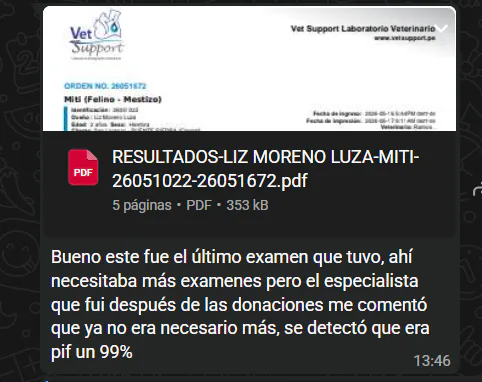 captura_de_pantalla_2026-06-22_140406.png captura_de_pantalla_2026-06-22_140406.png