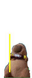 baldi_slap0000.png baldi_slap0000.png