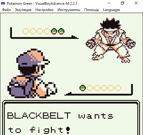 pokemon_green_-_visualboyadvance-m_223_27062026_14_20_36.png