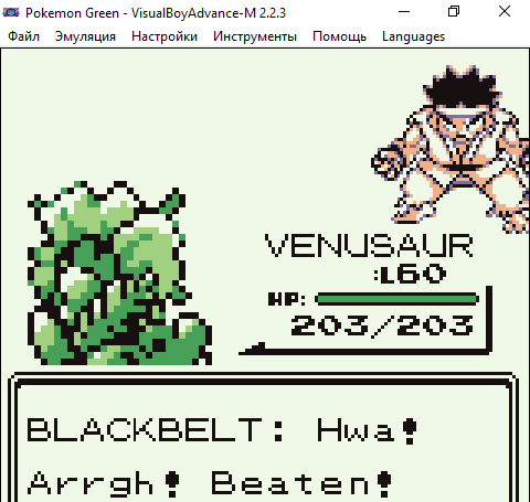 pokemon_green_-_visualboyadvance-m_223_27062026_14_21_33.png