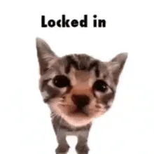 locked-in-cat.gif locked-in-cat.gif
