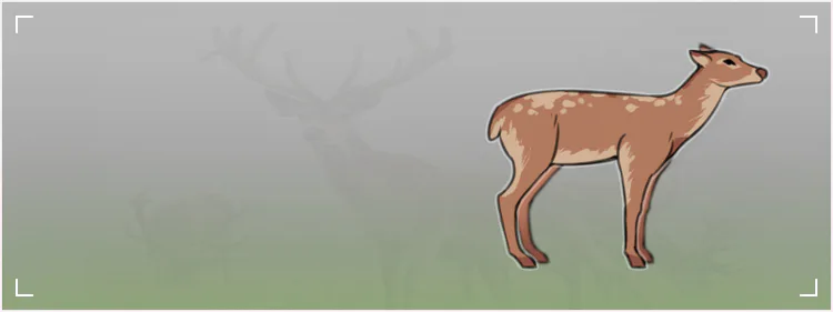 seq012.png seq012.png