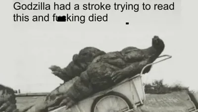 godzilla_had_a_stroke_and_fucking_died.png