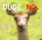 dude_no.png dude_no.png