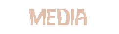 media1.png