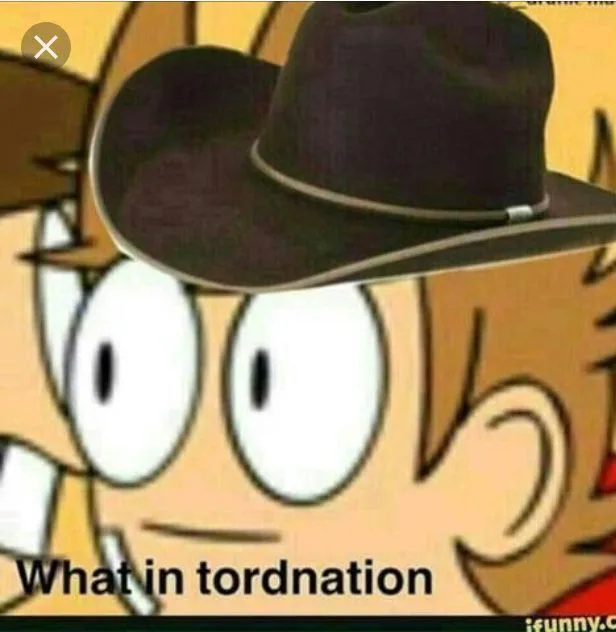eddsworldmemegobrrr.jpg