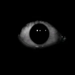 creepy_eye.png