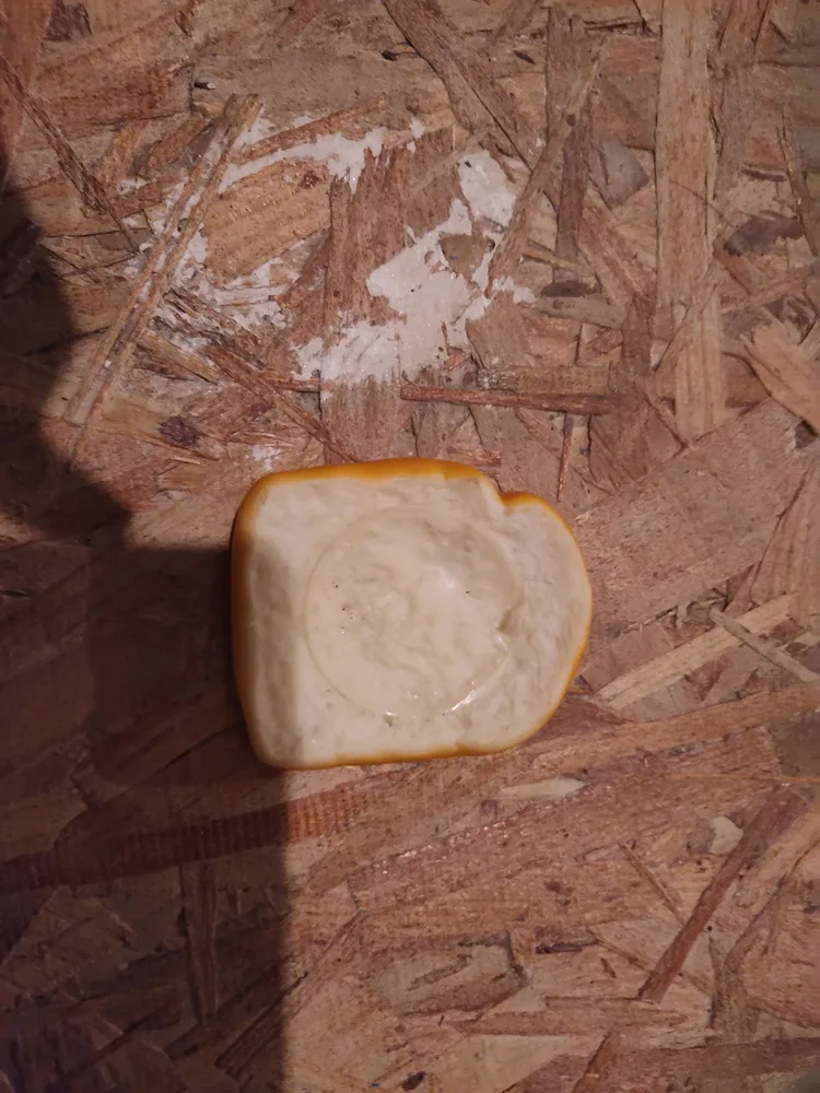 bread_sandvich.jpg
