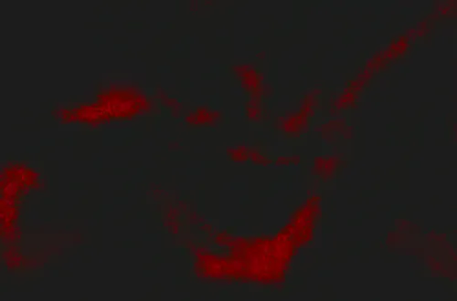 image.png image.png