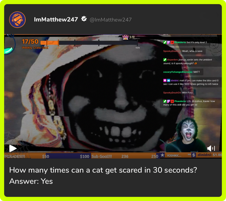 immatthew247_rounded.png
