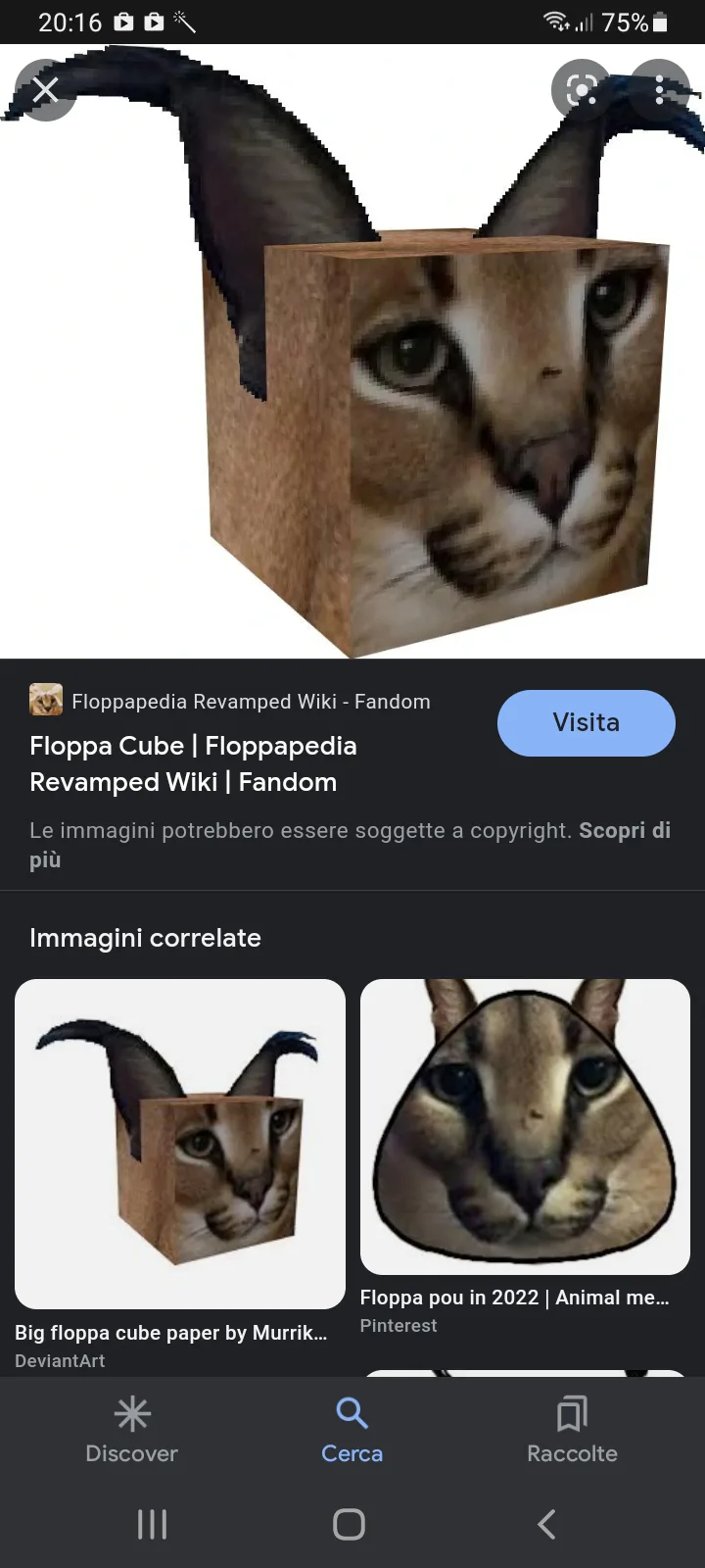 Floppa Cube, Floppapedia Revamped Wiki