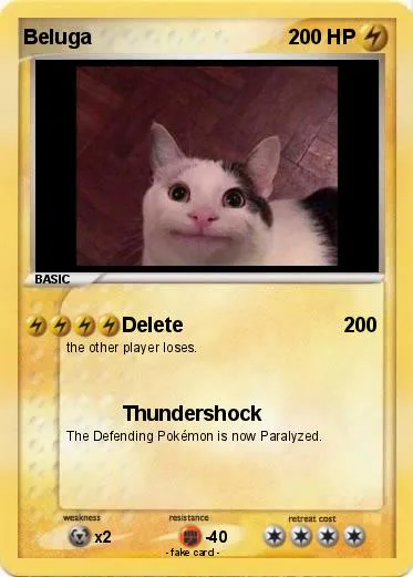 Pokemon Beluga cat 4