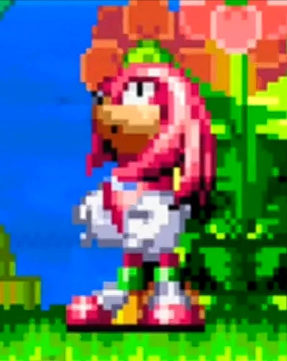 Sonic Rush Medley Sprite Animation : r/SonicTheHedgehog