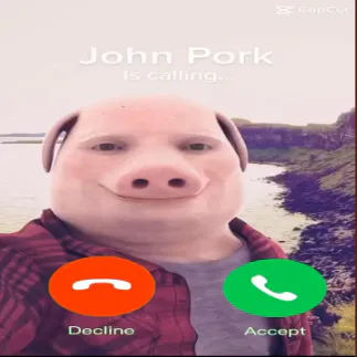 John Pork - Roblox