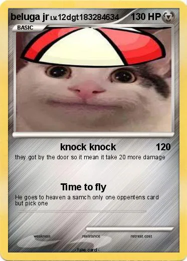 Pokemon Beluga Cat 5