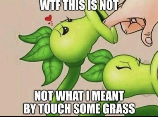 Touch grass - iFunny Brazil