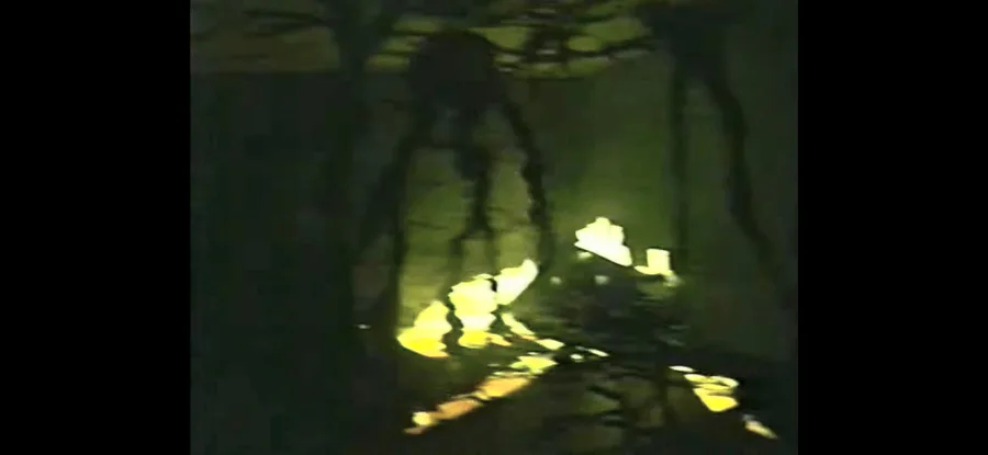 Backrooms - Crimson Forest Entity (found footage 5) 