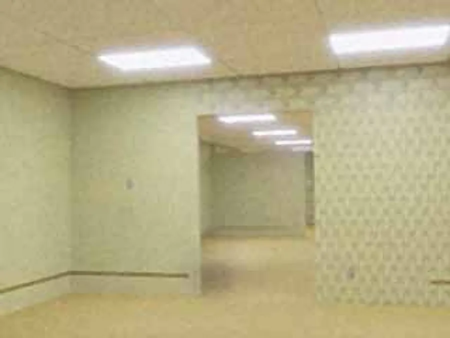 If you noclipped into this hallway, what would you watch on TV? :  r/backrooms