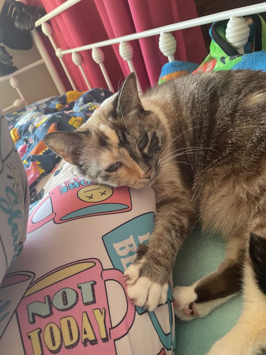 Game Jolt Share your creations