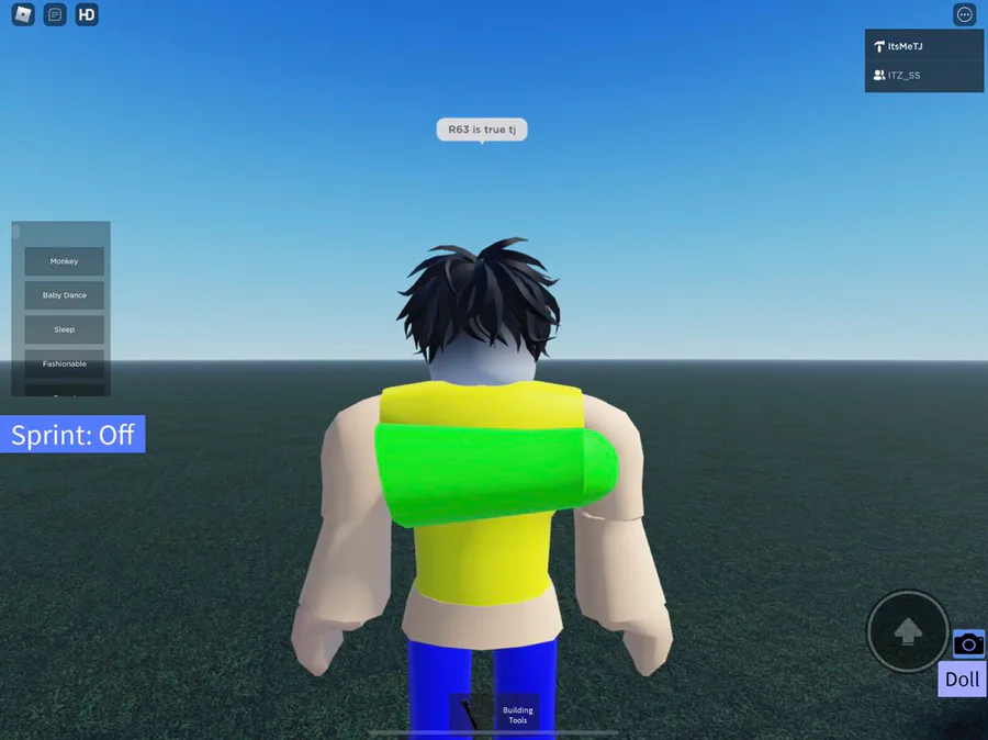 Roblox be like  R63 Avatars in Roblox 
