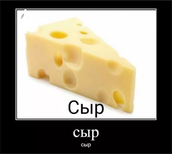 кажется я сыр. сырный фон. кажется я сыр. открытки с днём любителей сыра. кажется я сыр.
