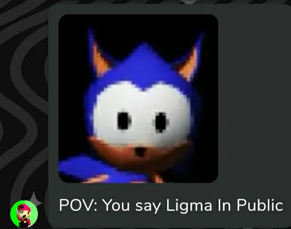 Ligma balls  sonic stop motion 