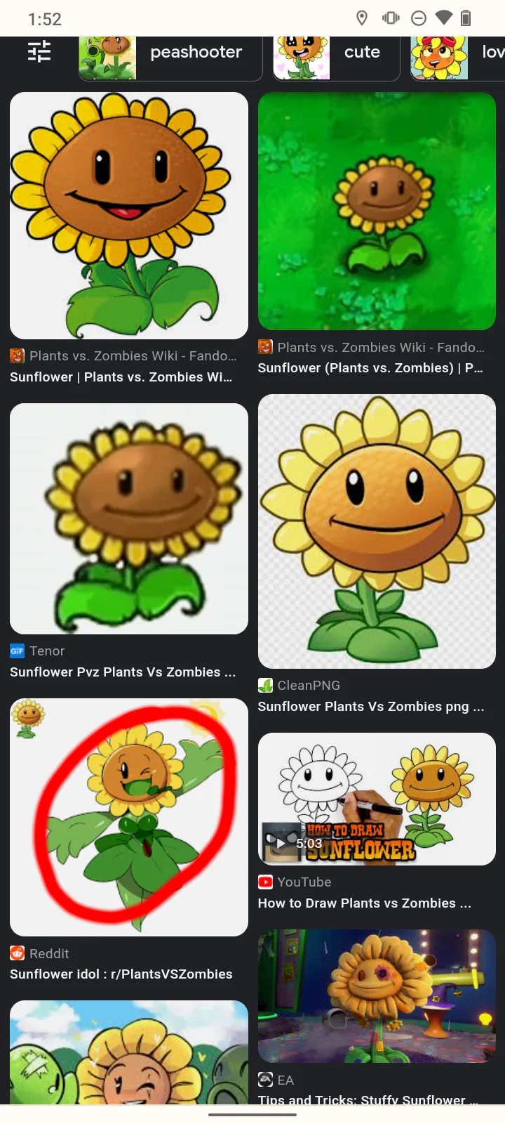 Sunflower (PvZ H), Wiki