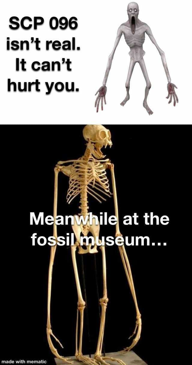 meanwhile skeleton meme