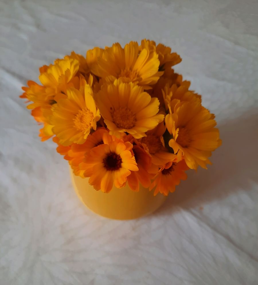 Game Jolt Share your creations