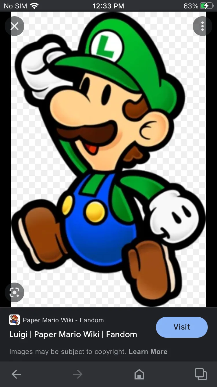 Luigi, Paper Mario Wiki