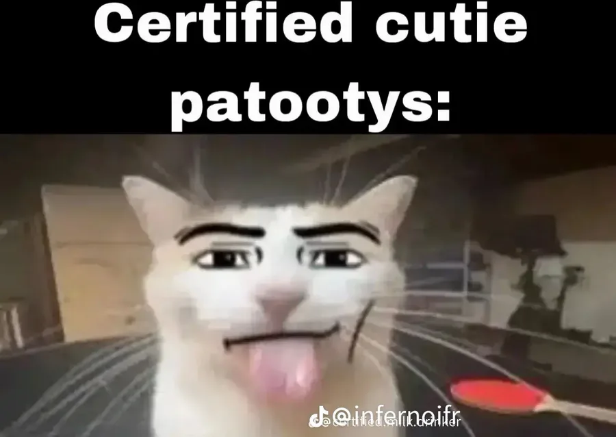 Polite Cat Meme Maker