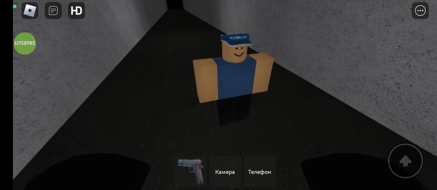 liteapks roblox