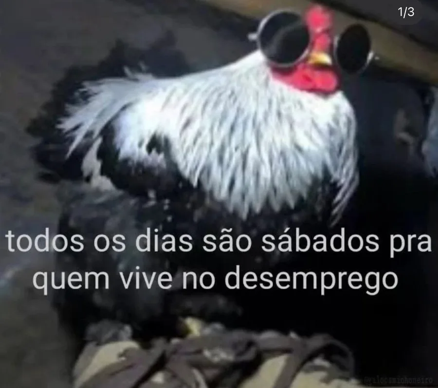 Jogoscausamviolencia memes. Best Collection of funny Jogoscausamviolencia  pictures on iFunny Brazil