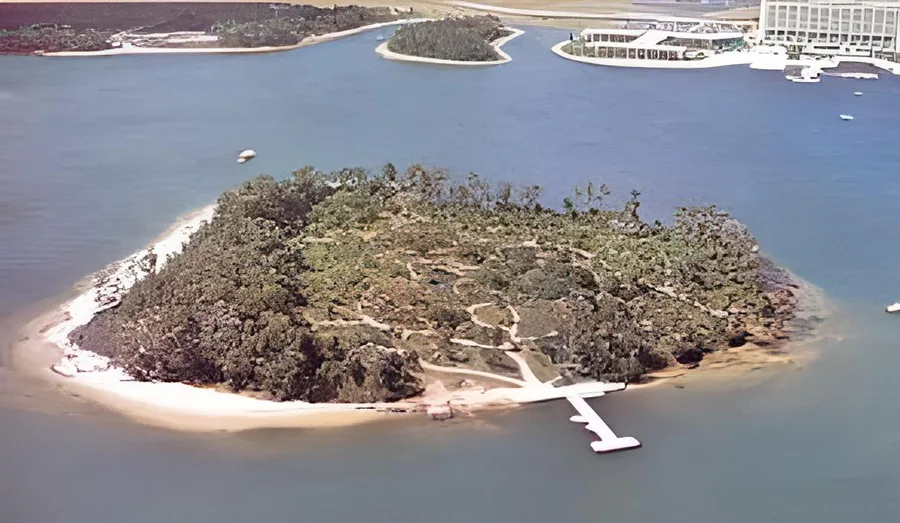 Discoveries island. Остров открытий Дисней. Остров компании Дисней Дискавери Айленд. Остров Дискавери Новокосино. Остров Диснея США.