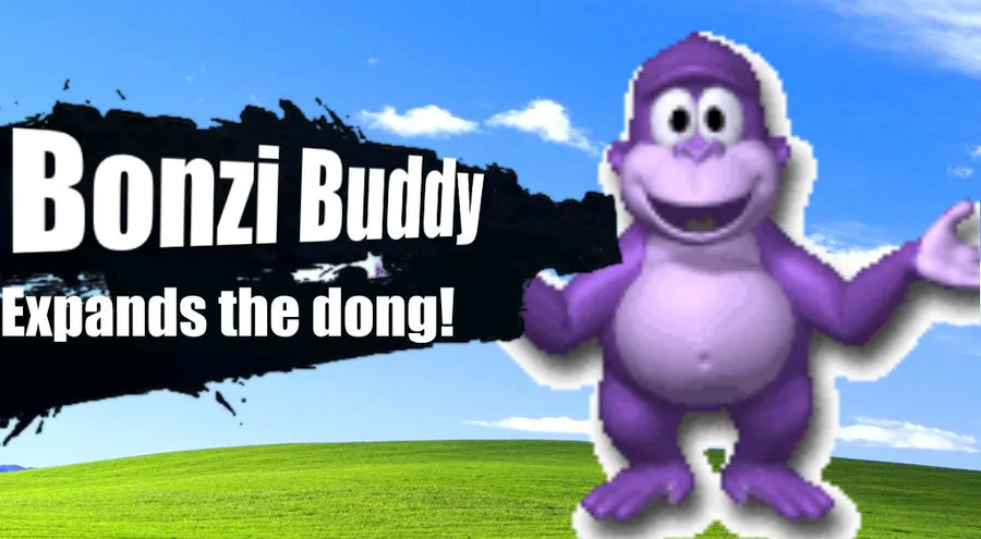 Pokemon Bonzi Buddy 18