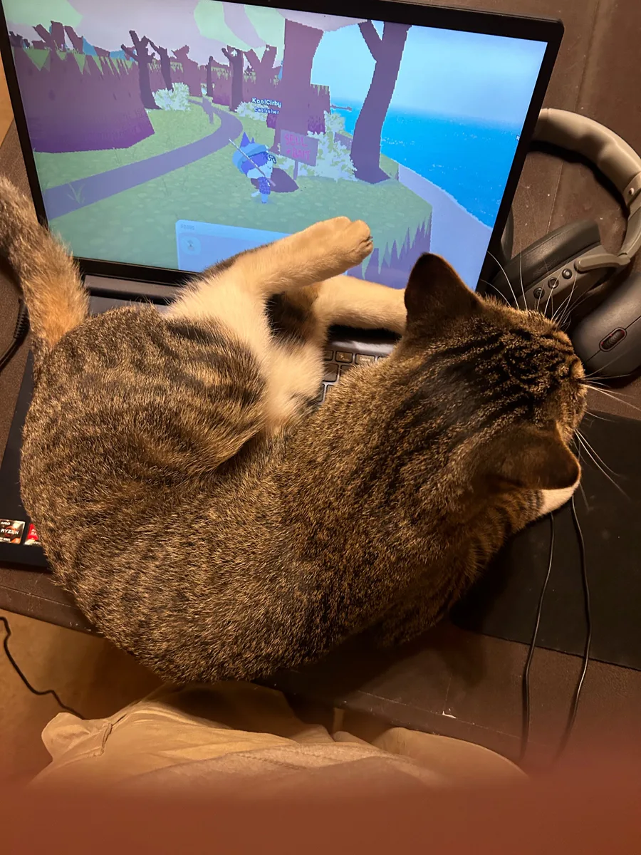 Game Jolt Share your creations